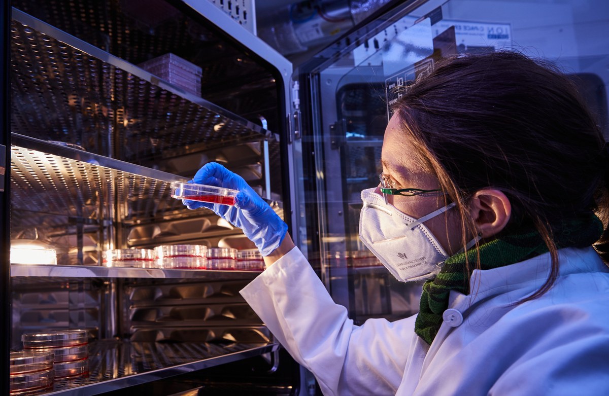 Eine Wissenschaftlerin und ein Wissenschaftler arbeiten hinter einer Glasfassade und mischen Chemikalien mit Großgeräten.